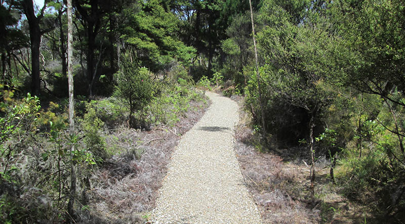 Jubilee Track, Cornwallis, Waitakere Ranges Regional Park