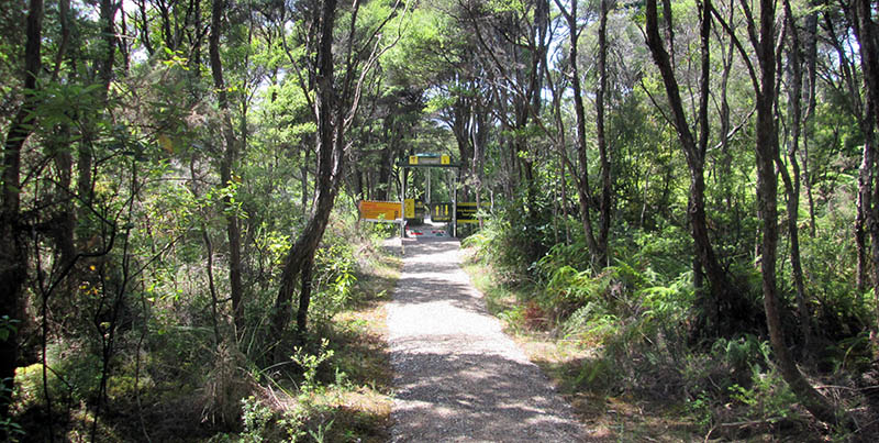 Jubilee Track, Cornwallis, Waitakere Ranges Regional Park
