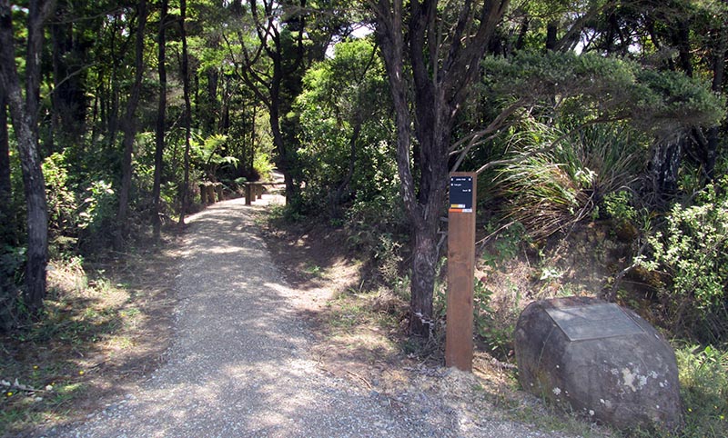 Jubilee Track, Cornwallis, Waitakere Ranges Regional Park