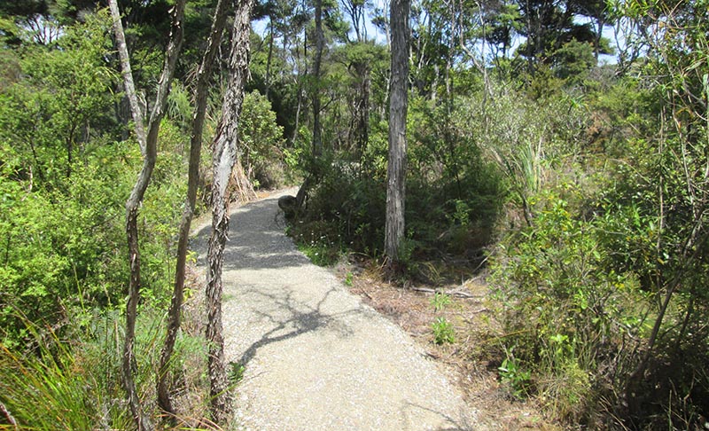 Jubilee Track, Cornwallis, Waitakere Ranges Regional Park